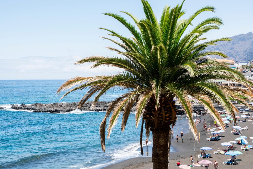 Beachfront Bliss: Marbella’s Coastal Marvels