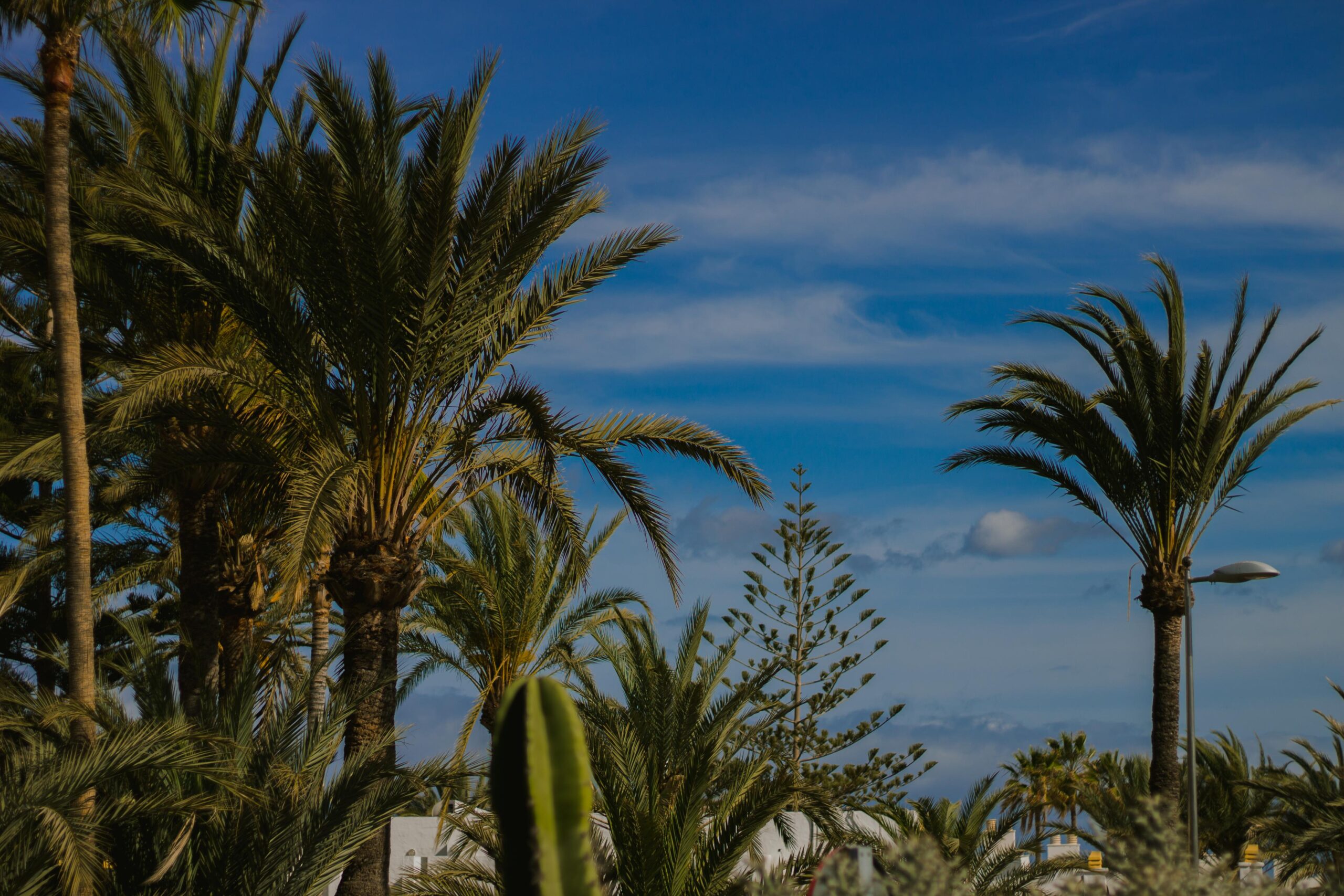 Marbella Weather: A Year-Round Mediterranean Paradise