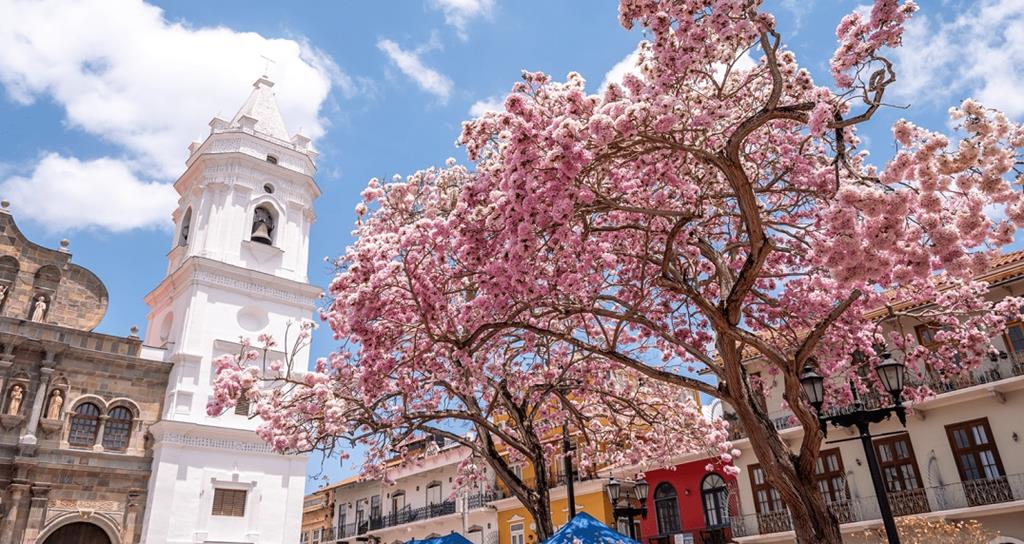 Old Town (Casco Antiguo)