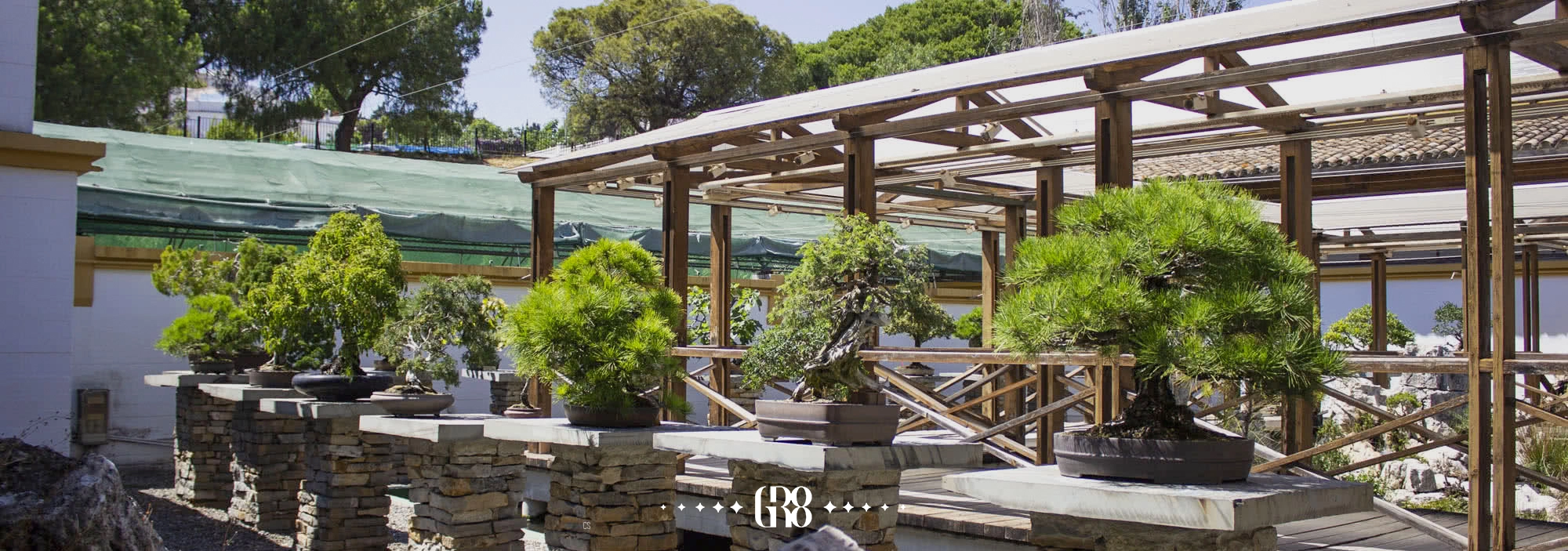 Miniature bonsai trees at Marbella Bonsai Museum